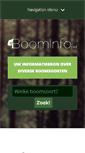 Mobile Screenshot of boominfo.net